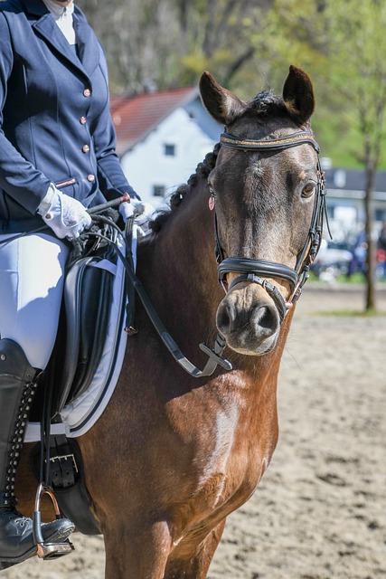 出色的表现 出色的表现