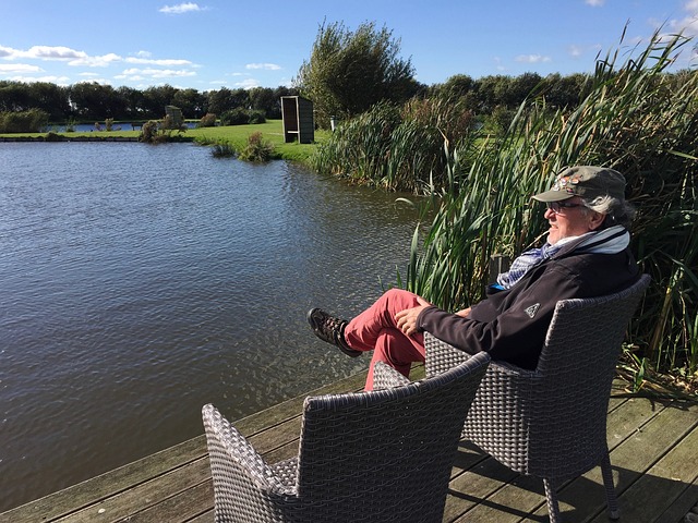 近年的一个 近年的一个